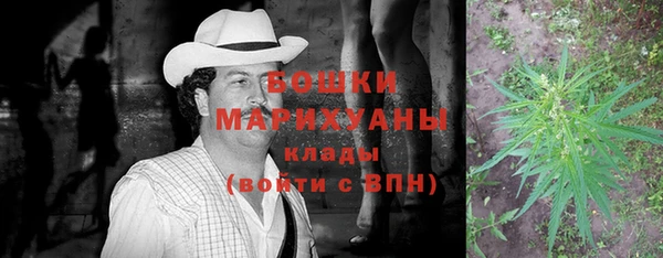 сатива Баксан