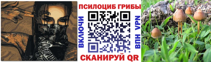 Псилоцибиновые грибы Psilocybine cubensis  OMG онион  Безенчук  наркота 